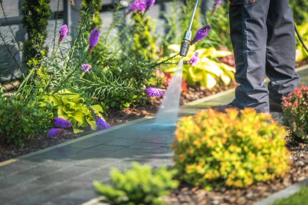 Best Restaurant Pressure Washing  in Mineralwells, WV